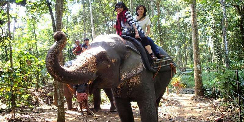 Best Kerala Tour Package from Ahmedabad - Book Now!